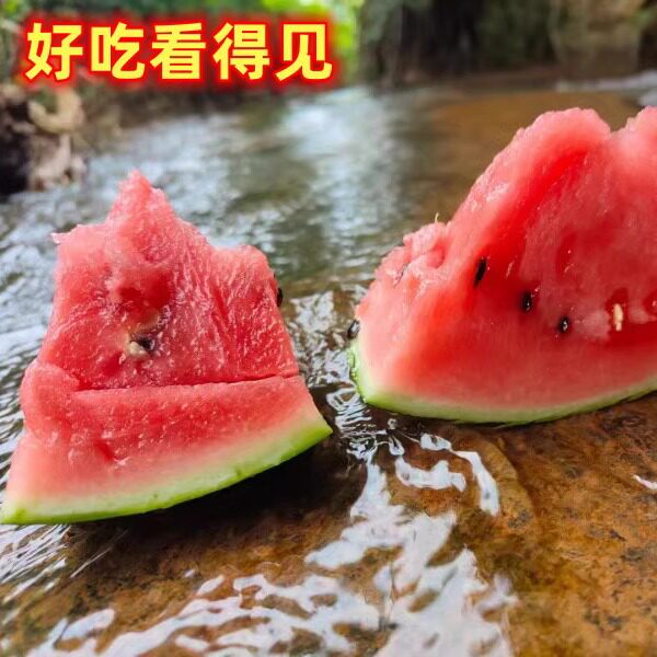 新鲜现摘西瓜8斤孕妇水果应季