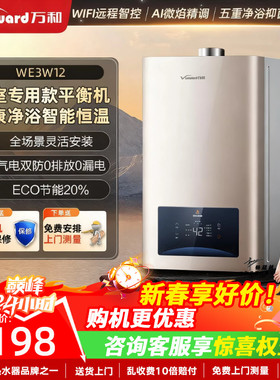 万和平衡式燃气热水器家用天然气液化气12升13升强排式恒温WE3
