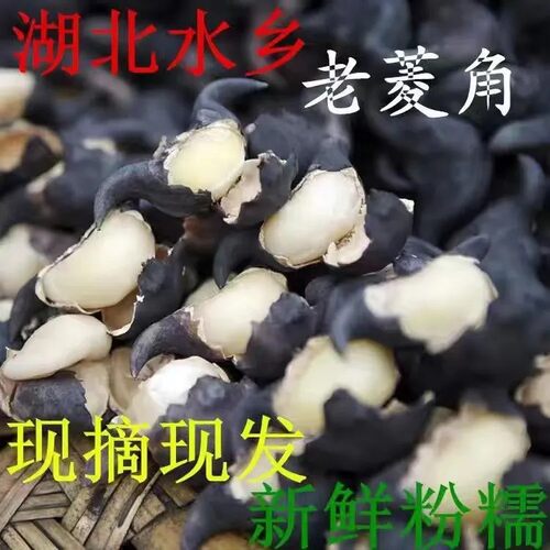 新鲜老菱角现摘现发个大粉糯包邮