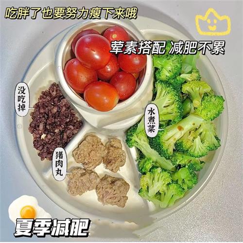 分格餐盘大人减肥餐定量碗专用减脂分格饭盒一人食减脂餐定量餐具