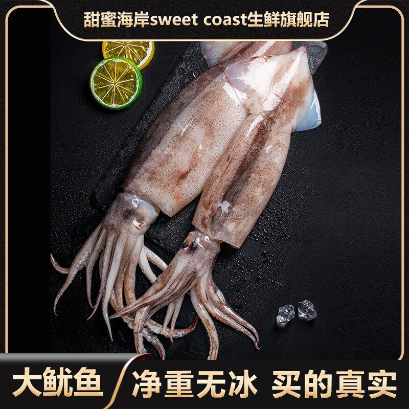 甜蜜海岸sweetcoast新鲜速冻大鱿鱼大号海鲜生鲜整条鱿鱼5斤装