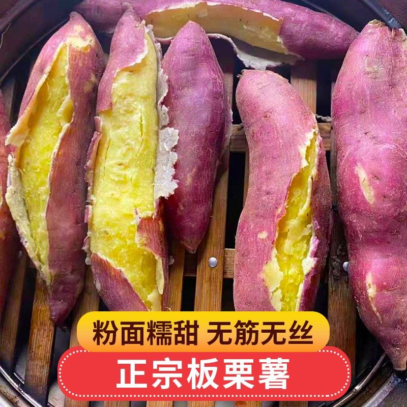 新鲜陕西现挖板栗红薯粉面干香甜番薯9斤烤地瓜粗粮农产品小香薯