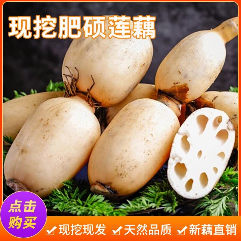 中大果微山湖莲藕天然新鲜现挖直销8-12节真空包装5斤脆藕