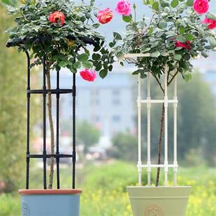 三角梅爬藤架欧式花架子固定架花支架植物种植造型支架蟹爪兰支撑