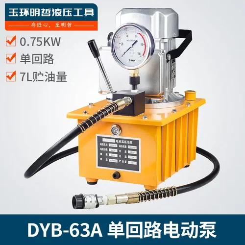 超高压电动油泵DYB-63A电动泵浦