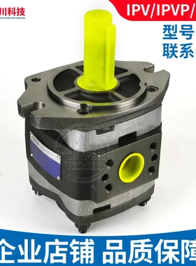 福伊特齿轮泵ipvp/IPV4/5/6/7 64/80/100内啮合德国voith液压油泵