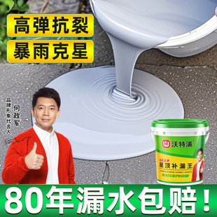 沃特浦防水胶补漏裂缝渗水楼顶屋顶补漏材料房顶漏水专用防漏涂料