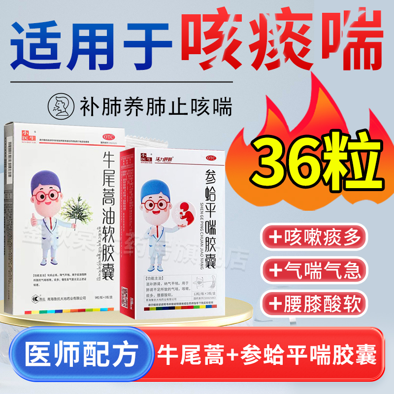 小医生参蛤平喘胶囊纳气平喘滋补肺肾气喘痰多腰膝酸软乏力36粒装-封面