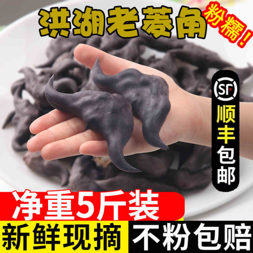 洪湖菱角新鲜生棱角老黑菱角