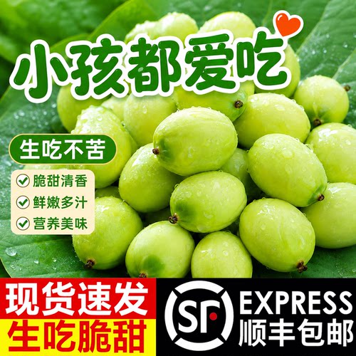 洪湖新鲜嫩莲子米生吃脆甜