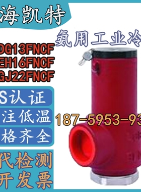 上海凯特12DG13FNCF安全阀12EH16FNCF工业冷冻机氨用安全阀KT阀门