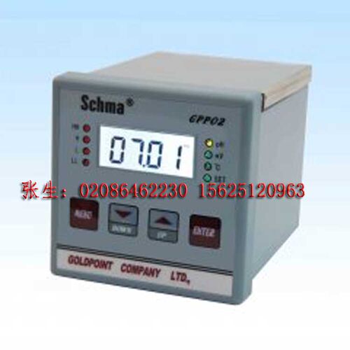 新款GPP02台湾金点GOLDPOINT在线式PH计工业酸度计PH/ORP仪表控制