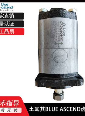 新款土耳其BLUEASCEND齿轮泵APH20.095.CGL  AP30.400 AP10.009液
