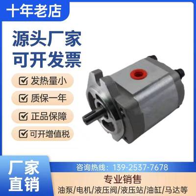 新款康百世P101RP01GT齿轮泵P102/P127/P135/P104/05/P106/7/9油