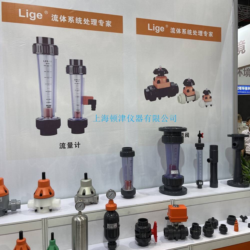 新款温州LIGE利歌PVDF材质背压阀单向泄压阀直插式DN15/20/25防虹