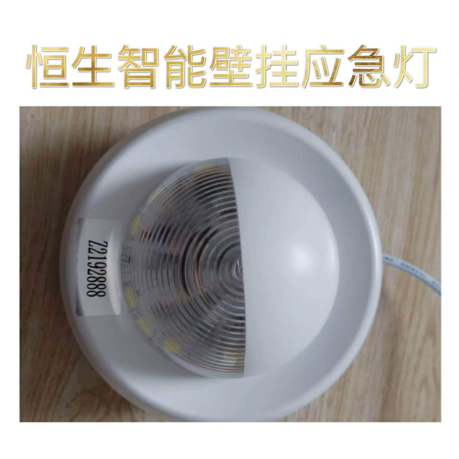 深圳恒生智能应急灯  吸顶应急灯  壁挂应急灯  嵌入筒灯