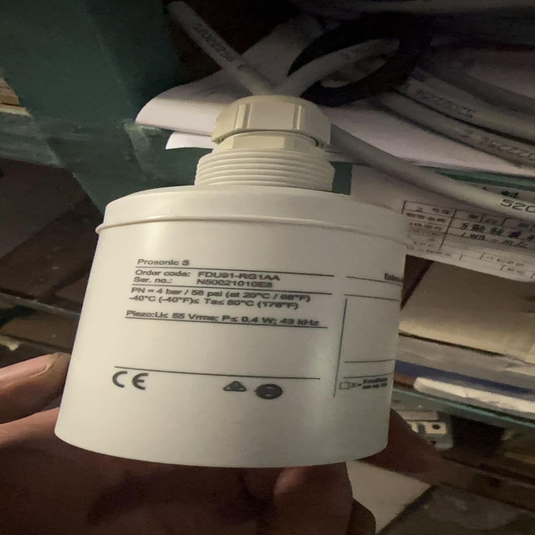 闲置全新EH液位计探头FDU91-RG1AA,未使