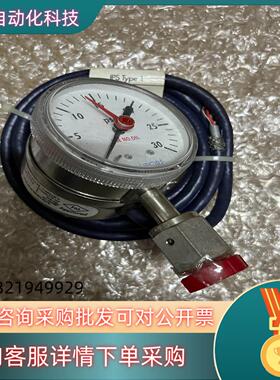 现货MILLIPOER压力表 IPSTYPE-1