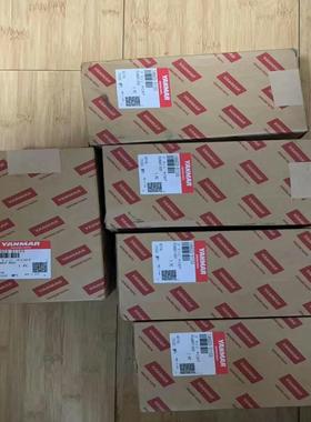 [德峰]EY18原厂柱塞146623-51103