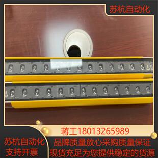 300一对 Leuze劳易测安全光栅ELC100T30