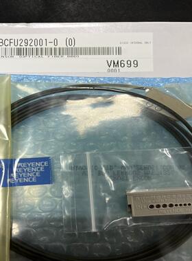 DBCF292001-0 BBD感应器 议