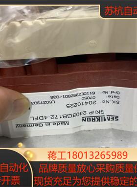SKiiP 2403GB172-4DFL全新的联接线端子口