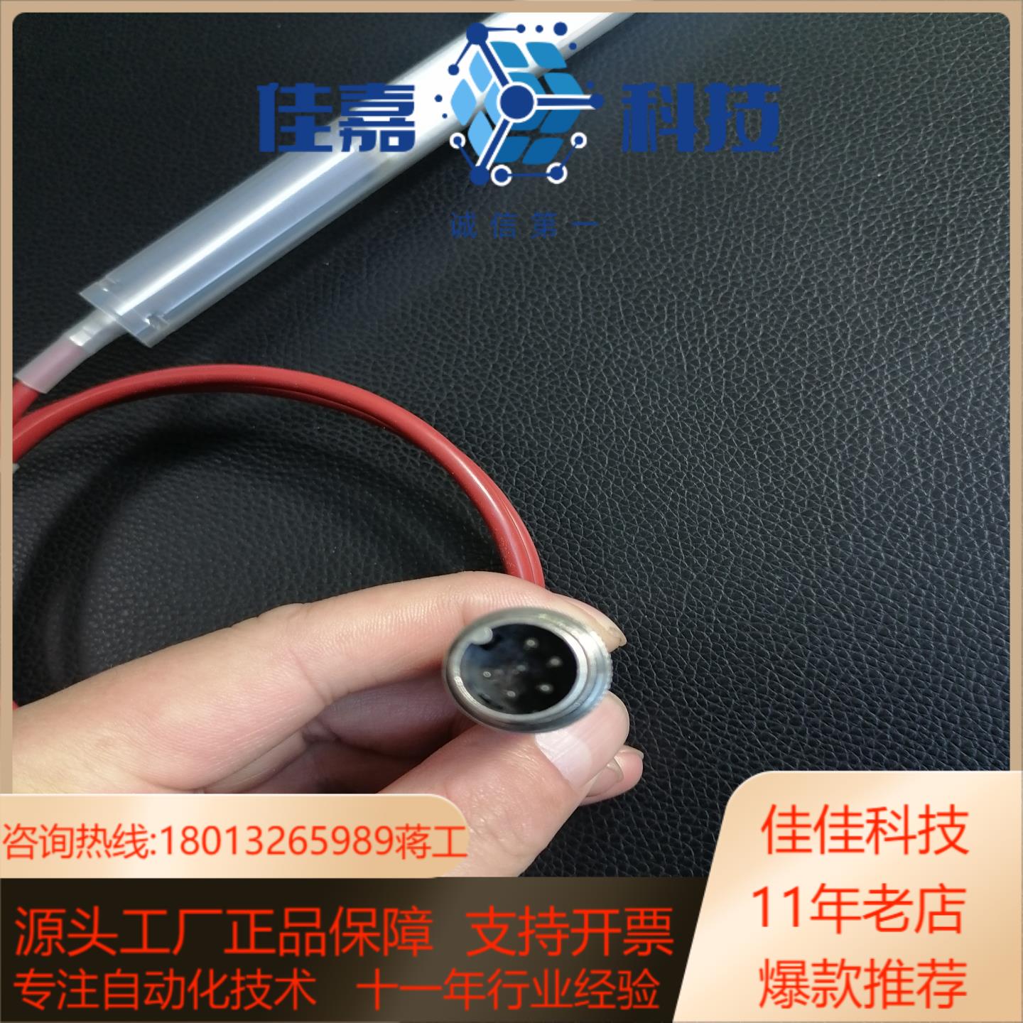 1XPT100  WO15  4-L德国原装PT100