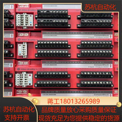 1791DS-IB8XOB8 AB罗克韦尔PLC模块功能正常议价