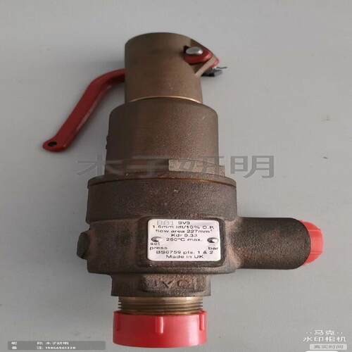 斯派莎克SPIRAYSARCO安全阀，英国    DN2