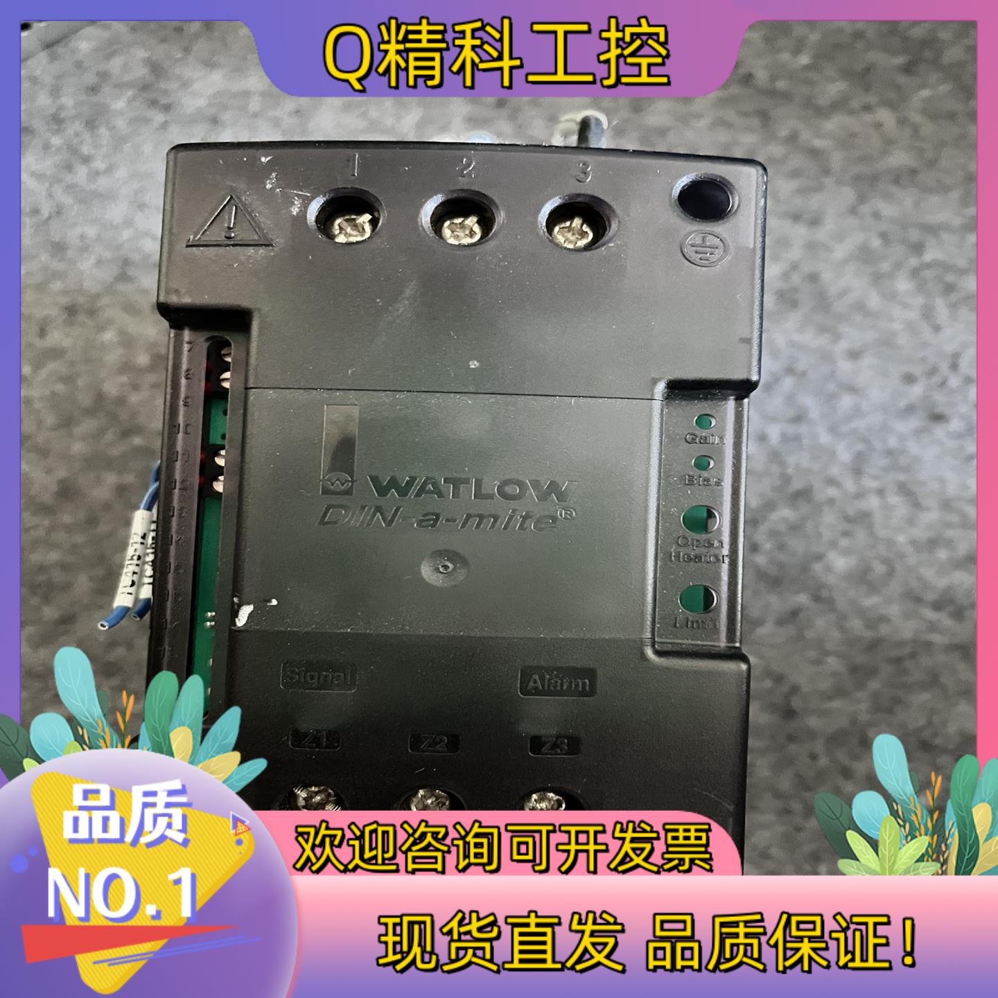 现货WATLOW瓦特隆DC80-24C0-0000控