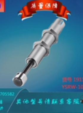 FESTO/费斯托 缓冲器  YSRW-10-17 191195