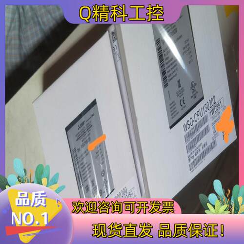 现货WS0-4RO4002 WS0-GCC100202
