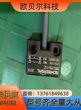 SCHMERSRL施迈塞传感器，型号：BNS  250-11