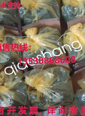 原装供应A4VSO71DR/10R-PPB13N00 new rexroth pump R902423294
