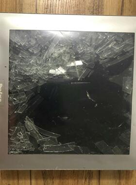 （设备配件）普洛菲斯普洛菲斯触摸屏PFXSP5600TAD，模块PFXS