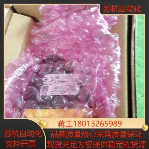 康耐视DM262X-1540-P读吗器