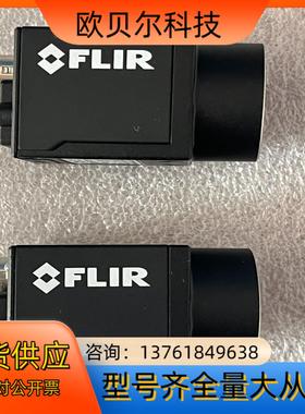 FLIR 灰点 2000万工业相机BFS-PGE-200S