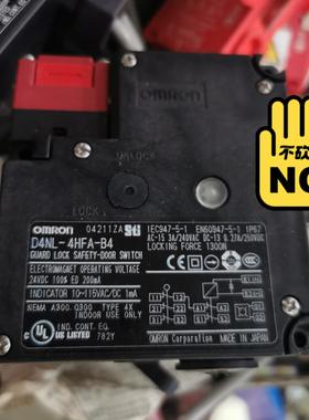 D4NL-4HFA-B4电磁锁安全门开关