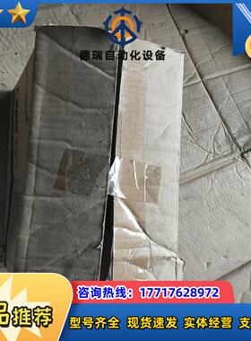 全新雷迪司不间断电源型号H1000M议价