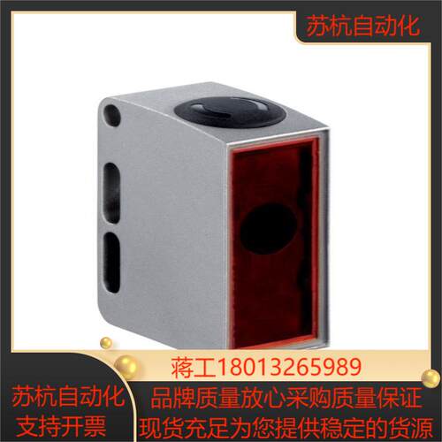 德国劳易测水传感器LSS 55H2O5000 发射LSE