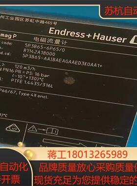 EH恩德斯豪斯计5P3B65-6P650