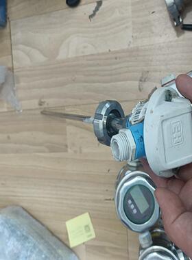 EH 温度计D-87484Nesselwang 实拍