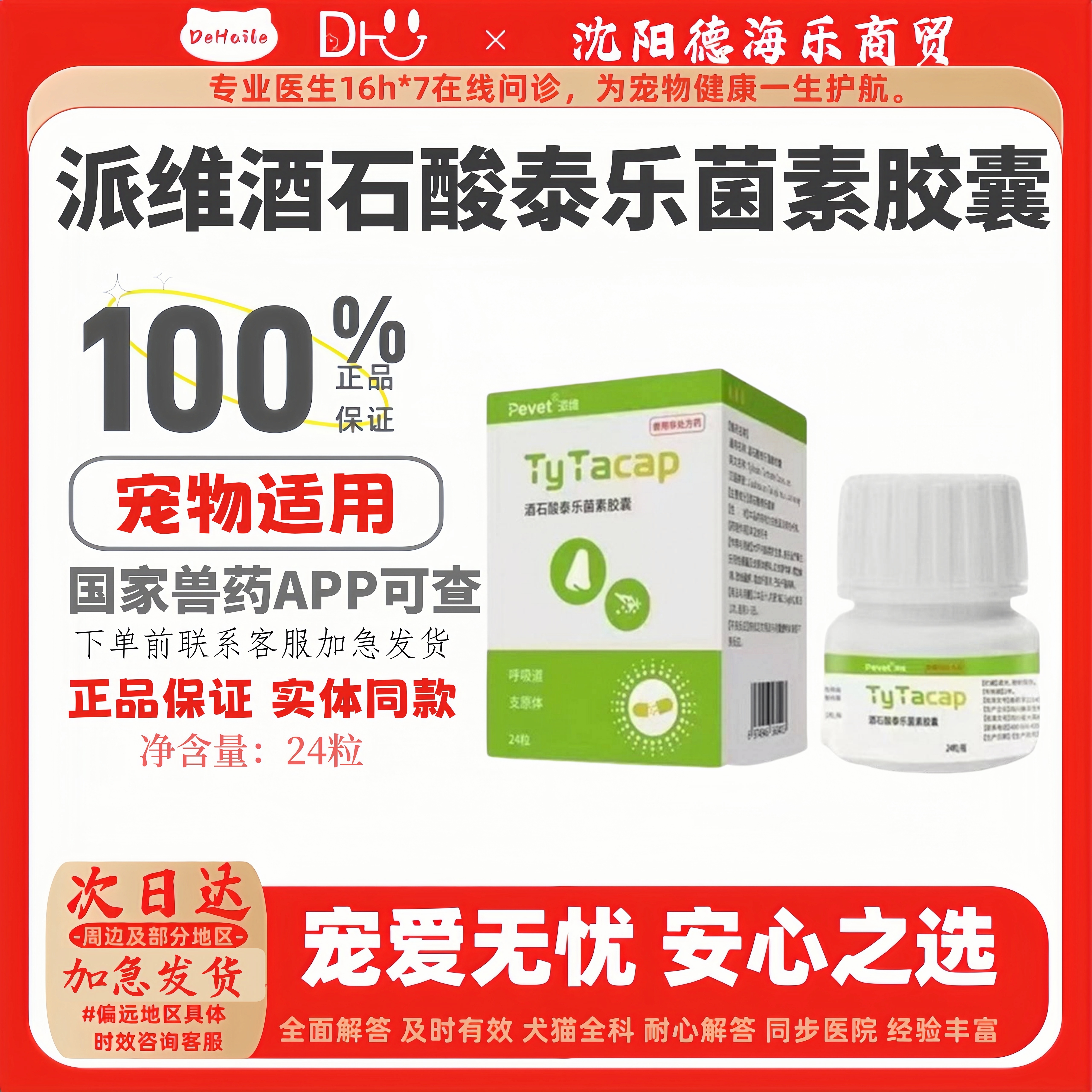 肺炎感冒咳嗽宠物支衣原体感染