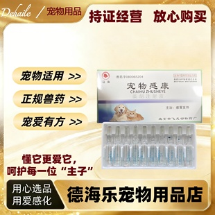 马头牌宠物感康柴胡注射液2ml*10支感冒发热宠物适用宠物医院柴胡