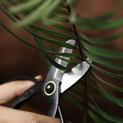 花艺剪刀剪枝园林鲜花修剪花枝插花工具玫瑰花日本topman剪子家用