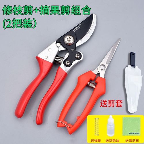 德国精工果树剪枝剪刀树粗枝花草修枝剪家用园艺专用省力花剪日本