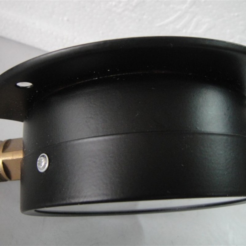船用压力表Y-100T 0-0.6/1/1.6MPA径向带后边带夜光压力表 全规格