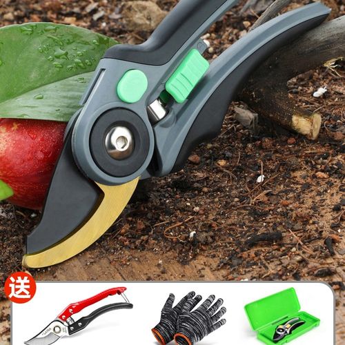 德国进口艺园剪刀省力剪树枝专用剪刀果树园林修枝剪修花粗枝家用
