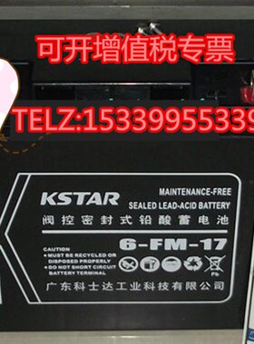 科士达KSTAR蓄电池6FM-250 12V250AH水电站 配电机房船舶 UPS电源