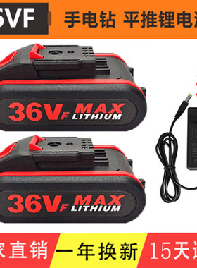 通用36VF手电转钻电池48VF98VF198VF21V平推式充电钻锂电池充电器